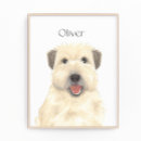 Search for soft coated posters Wheaten