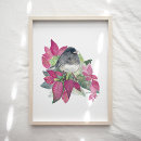 Search for eyed art Birds