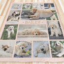 Search for dog blankets Unique