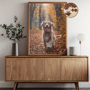 Search for labrador puzzles Fall