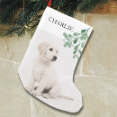 Search for dog christmas stockings Pet