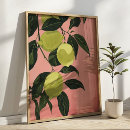 Search for lemon lime posters Watercolor