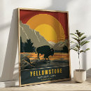 Search for yellowstone national park posters Bison