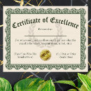 Search for certificates of excellence Award