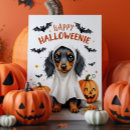 Search for dachshund halloween cards Doxie