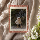 Search for brown thanksgiving invitations Fall