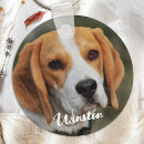 Search for kitten pics key rings Create your own