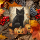 Search for antique halloween postcards Black cat