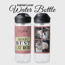 Search for cat water bottles Pets