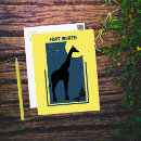 Search for zoos postcards Giraffe