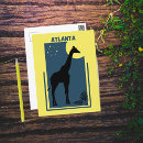 Search for zoos postcards Giraffe