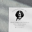 Search for springer spaniel Animal