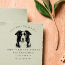 Search for border collie rubber stamps Dog
