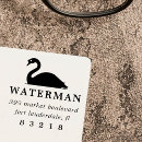 Search for swan Blue