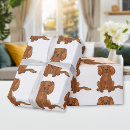 Search for cavalier wrapping paper Ruby