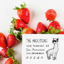Search for alpaca Modern