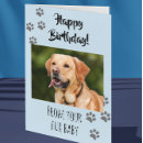 Search for fur baby cards Cat