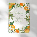 Search for mandarin oranges posters Modern