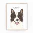 Search for collie painting posters Black and white