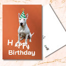 Search for bull terrier birthday cards Cute