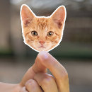 Search for dog stickers Waterproof