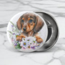 Search for doxies badges For her