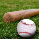 Search for softballs Sports