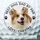 Search for dog golf balls From the dog