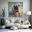 Search for happy pug posters Cute dog