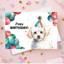 Search for bichon frise birthday cards White