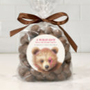 Search for cute bear cub stickers Watercolor