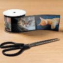 Search for film ribbon Black