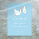 Search for baby boy stork posters Gender reveal