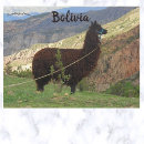 Search for bolivia postcards South america