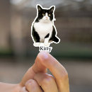 Search for kitty stickers Hand drawn