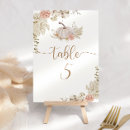 Search for pumpkins table cards Rustic
