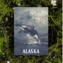 Search for orca the whale postcards Alaska