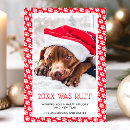 Search for pawed christmas cards For pets