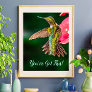 Search for ruby throated posters Wildlife
