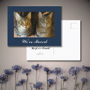 Search for blue cats postcards We have moved