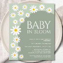 Search for green daisy invitations Baby in bloom