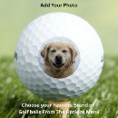 Search for photo golf equipment Dog dad