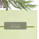 Search for font return address labels Trendy