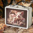 Search for pig lunch boxes Pink