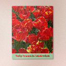 Search for tulip puzzles Netherlands