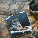 Search for lynx coasters Big cat