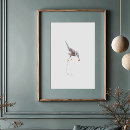 Search for blue jay posters Cyanocitta cristata