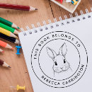 Search for cute rabbit Bunny