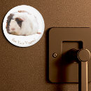 Search for guineas magnets Pets