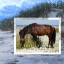 Search for wild horses postcards Souvenir